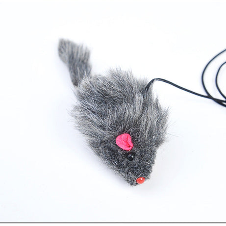 Pet Telescopic Hanging Door Small Mouse Pets Cat Toy