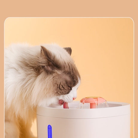 Filtered Charging Induction Smart Pet Water Fountain