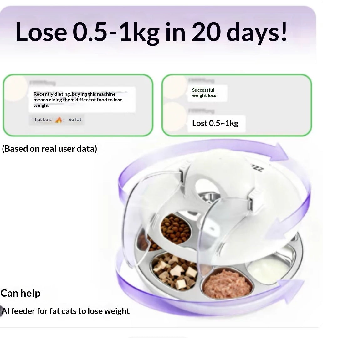 Smart Cat Feeder Ai Facial Recognition Multi Cats Video Camera Gen