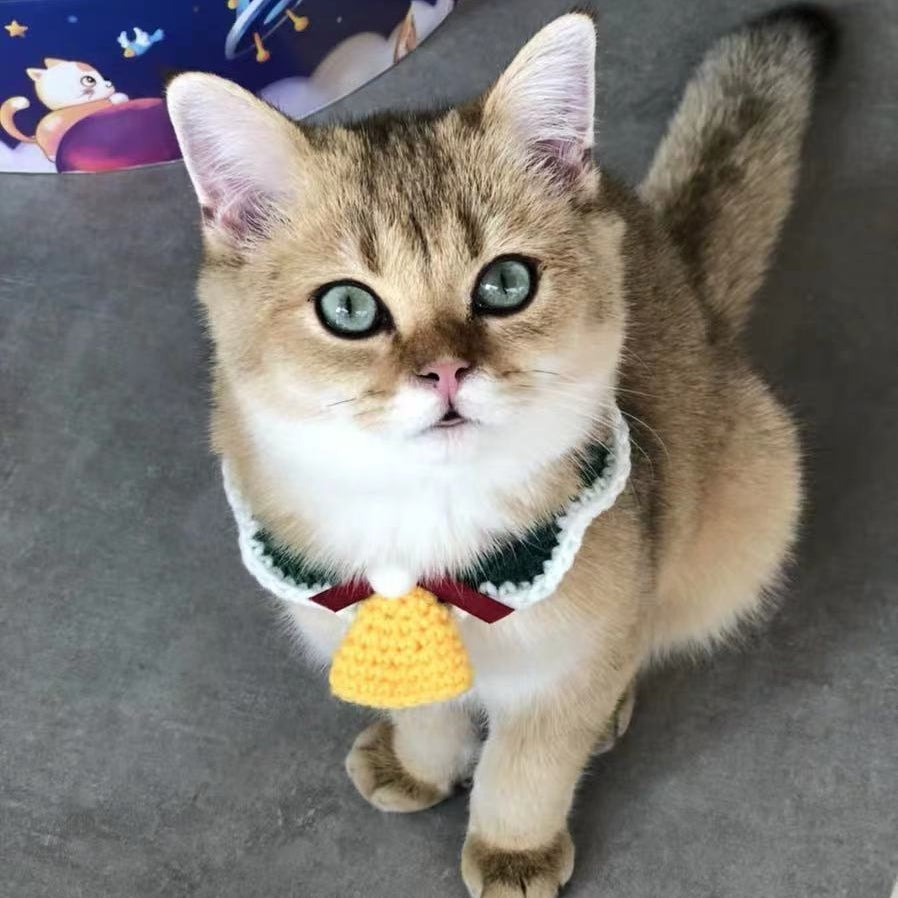 Wool Pet Collar Hand Woven Christmas Pet Accessories
