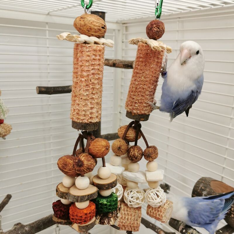Peony Parrot Bite Cuttlebone Carambola Corncob Vine Bal String Toy