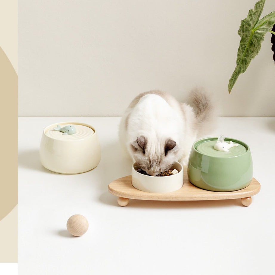 Cat Ceramic Automatic Circulating Filter Water Dispenser Drinking