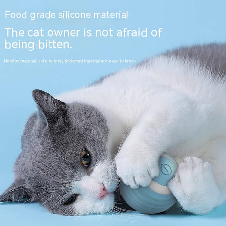 Automatic Moving Bouncing Rolling Ball Smart Cat Toy Self-moving