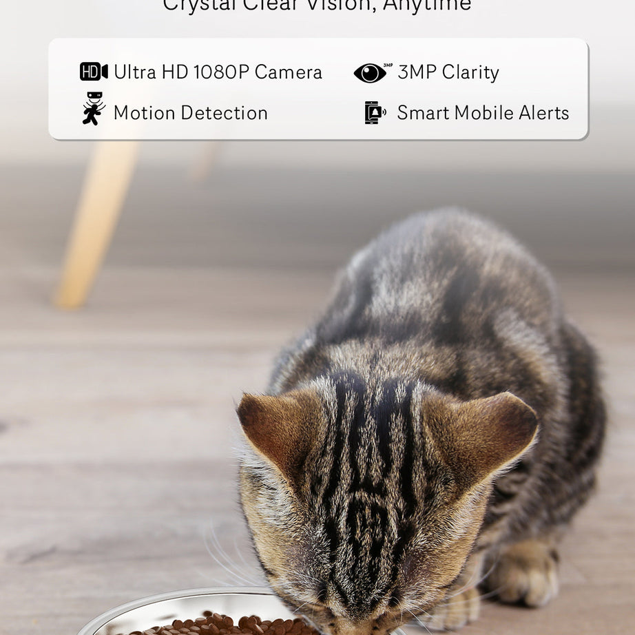 Automatic Cat Feeder With Camera 1080p Hd Video Night Vision 5g