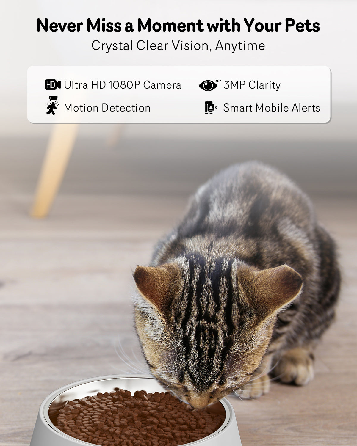 Automatic Cat Feeder With Camera 1080p Hd Video Night Vision 5g