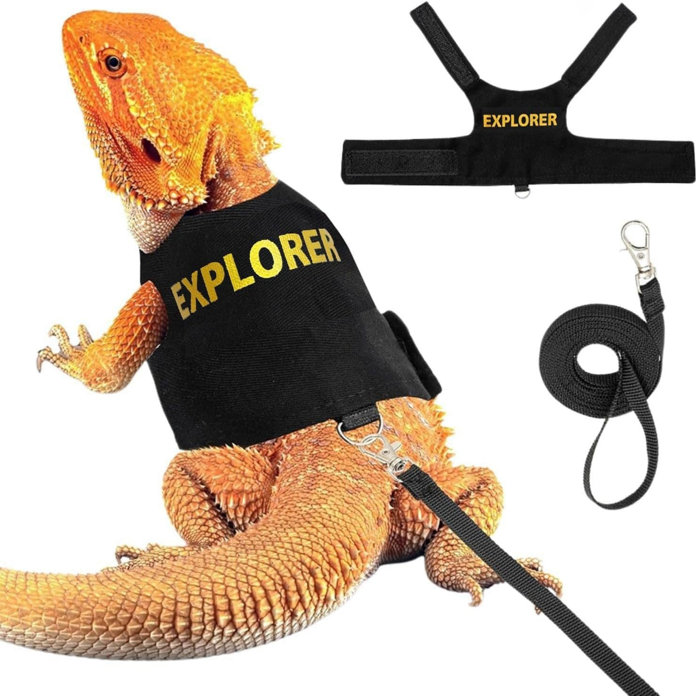 Lizard Leash Reptile Outdoor Chest And Back Harness