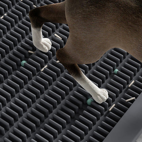 Cat Litter Pedal Box Pad Mat Pet Supplies