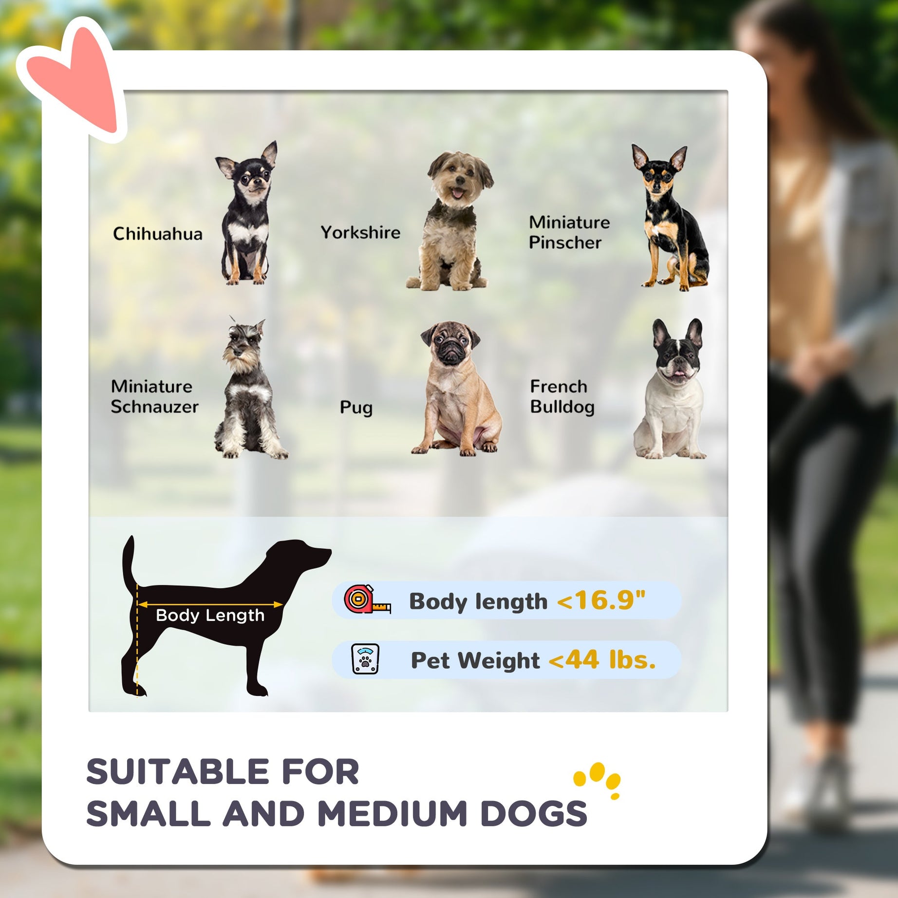 3 Wheels Pet Stroller For Small Dogs And Medium With Adjustable