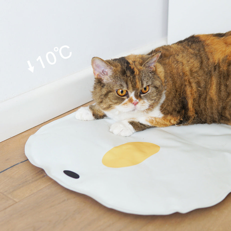 Washable Chick Cooling Mat Puppy Non-stick Hair Sleeping Pet Pad