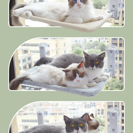 Cat Suction Cup Window Glass Hammock Pet Pets Products