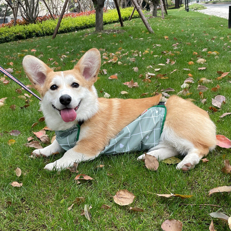 Corgi Dudou Pet Summer Dog Raincoat