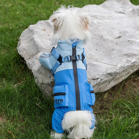 Autumn And Winter Dog Small And Medium-sized Teddy Outdoor