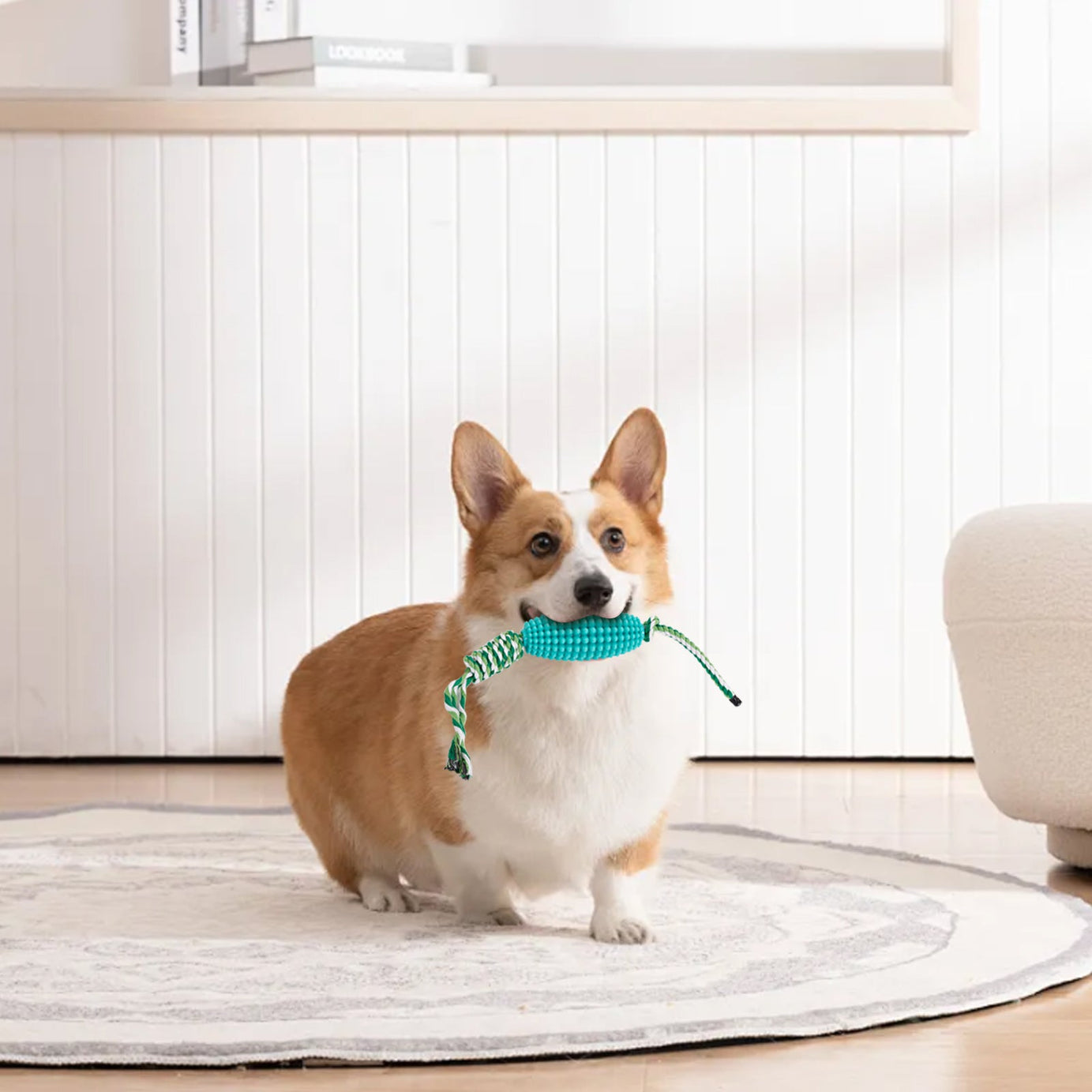 Puppy Toothbrush Clean Teeth Interactive Corn Toys Dog Aggressive