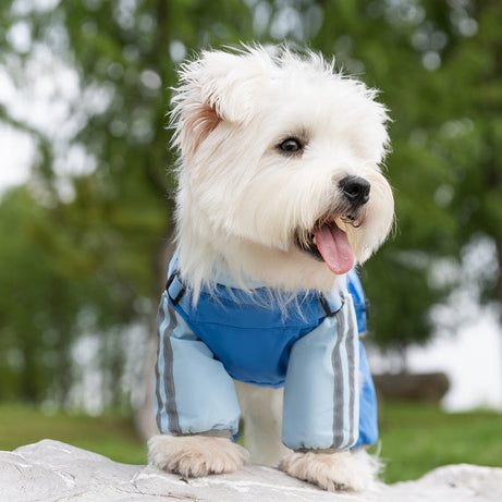 Autumn And Winter Dog Small And Medium-sized Teddy Outdoor