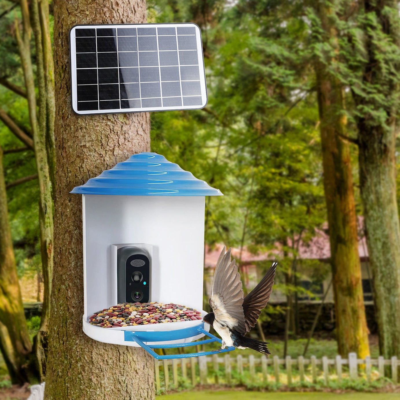 Smart Bird Feeder With Solar Powered Camera 1080p Hd Ai Identify