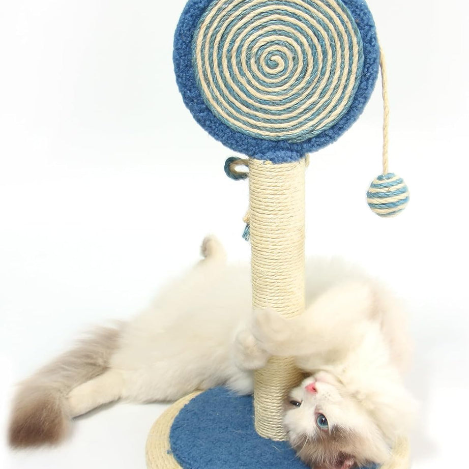 Cat Scratching Post Cute Kittens Scratch Posts With Hanging Ball