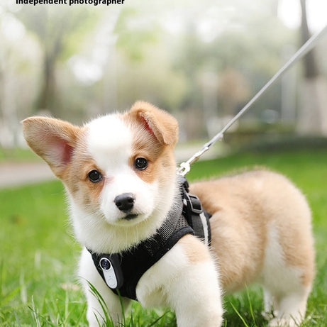 Hd Pet Thumb Camera Outdoor Sports Magnetic Mini