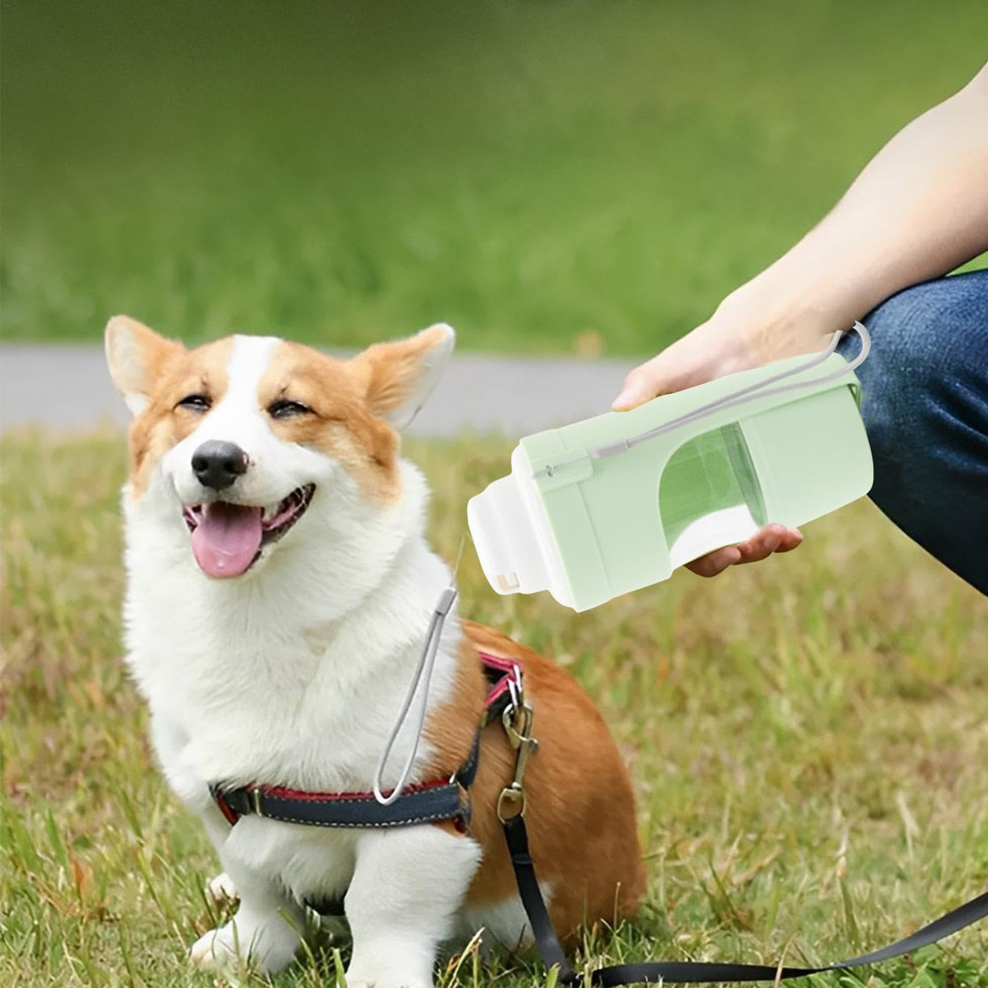 2-in-1 Travel Dog Water Bottle Pet Dispenser Feeder Drinking Outing