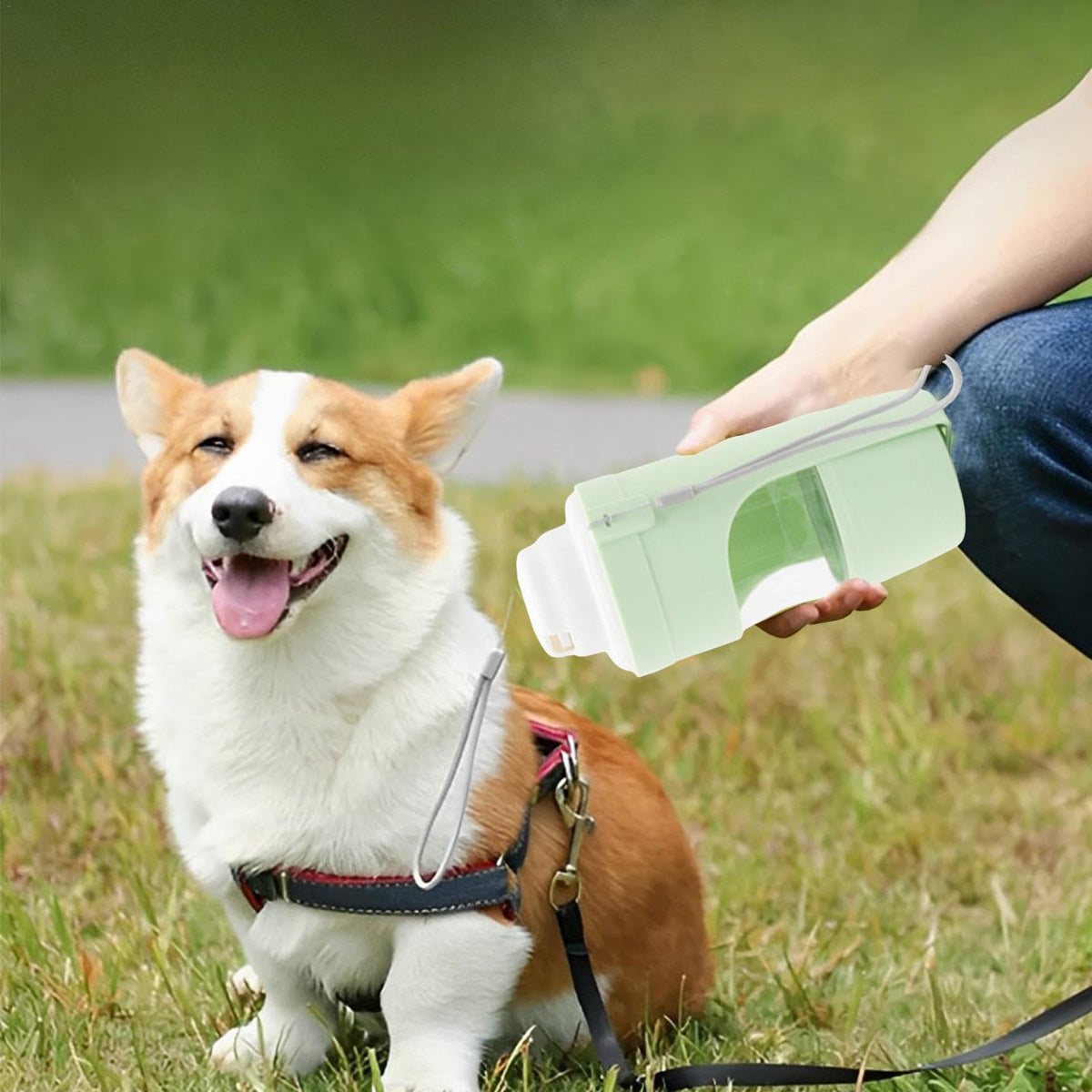 2-in-1 Travel Dog Water Bottle Pet Dispenser Feeder Drinking Outing