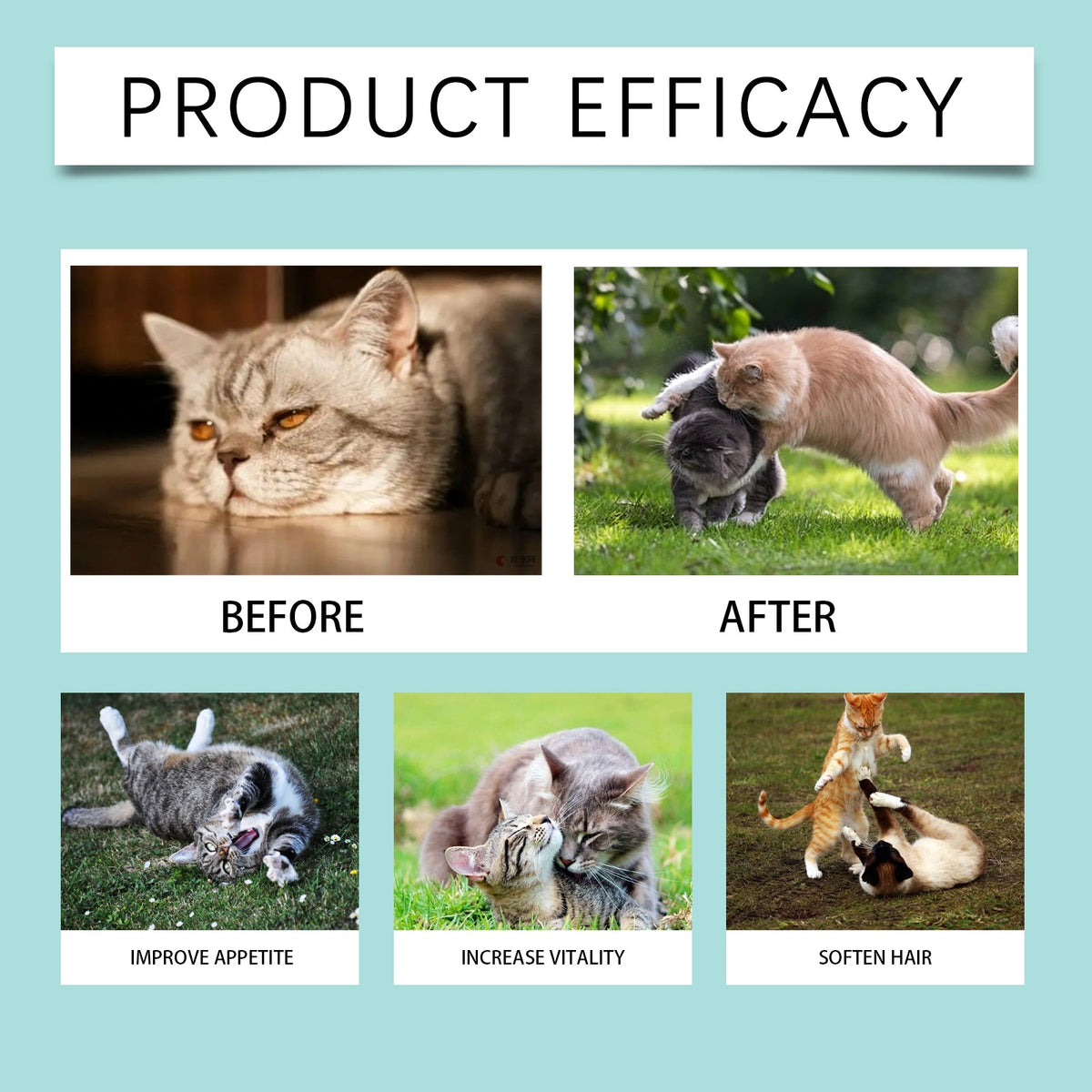 Cat Probiotic Supplement Tablets Gut Digestive Health Support