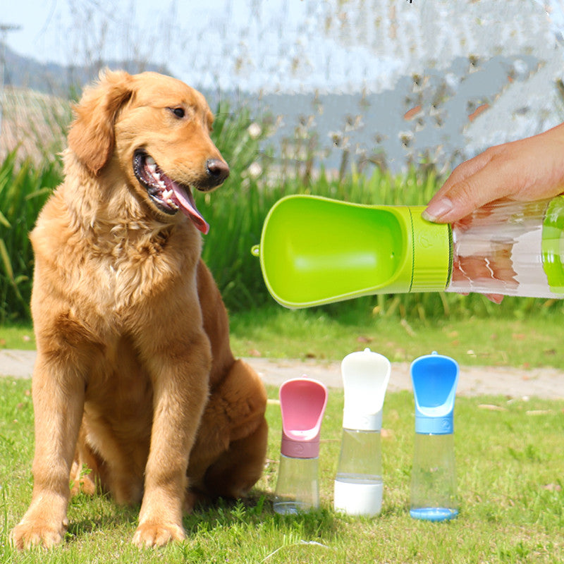 Dog Travels With A Water Cup To Drink From An Outdoor Fountain