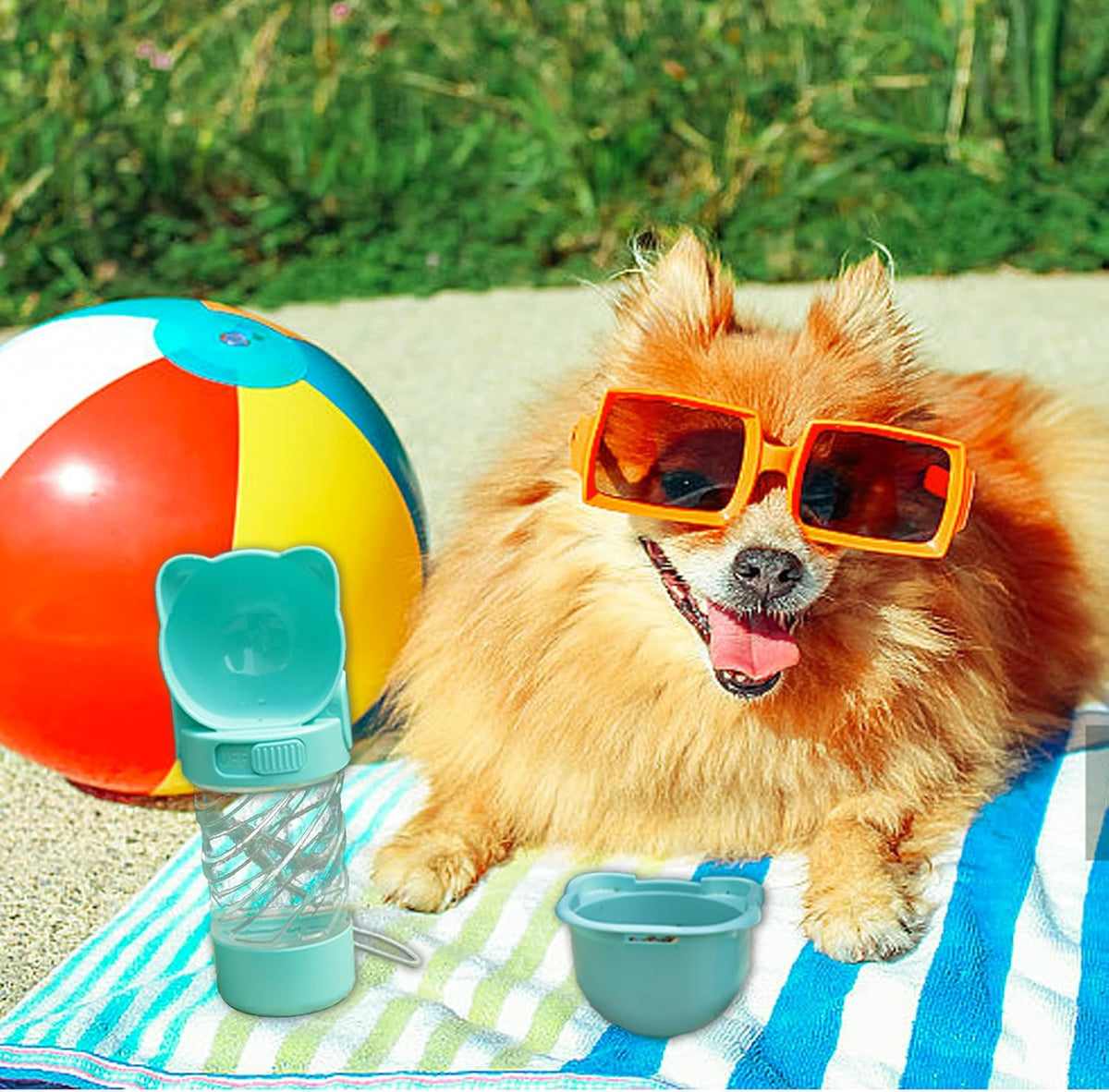 3-in-1 Pet Water Bottle Outdoor Portable Dog With Food Container