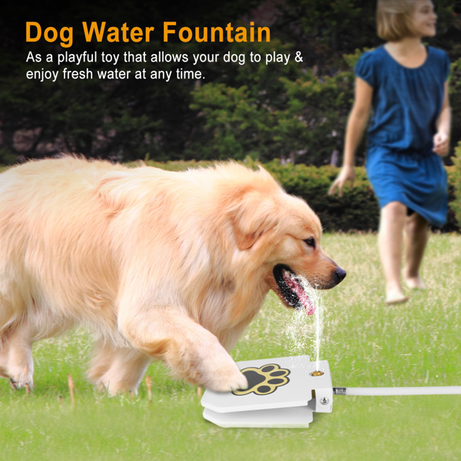 Dog Water Fountain Outdoor No Electricity Step-on Activated Pet