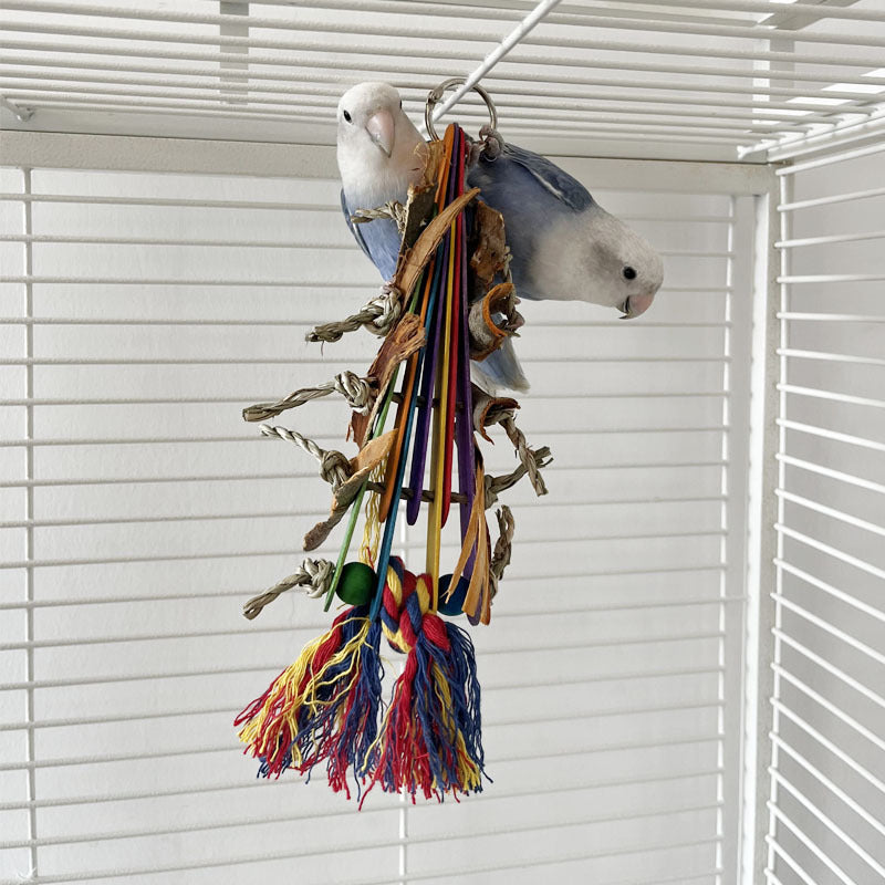 Creative Parrot Corn Cob Bite String Wooden Toy