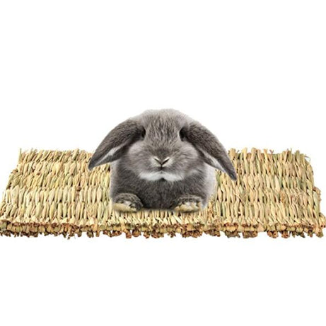 3 Pack Rabbit Bunny Mat Toy Bed For Small Animal Like Guinea Pig