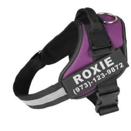 Personalized Dog Harness No Pull Reflective Breathable Adjustable