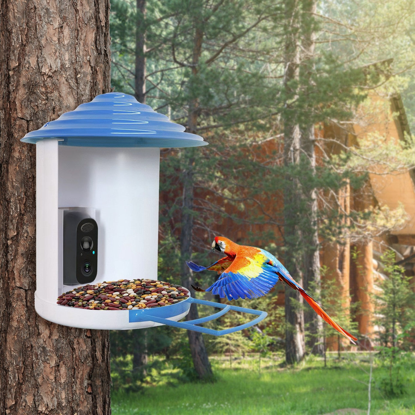 Smart Bird Feeder With Solar Powered Camera 1080p Hd Ai Identify