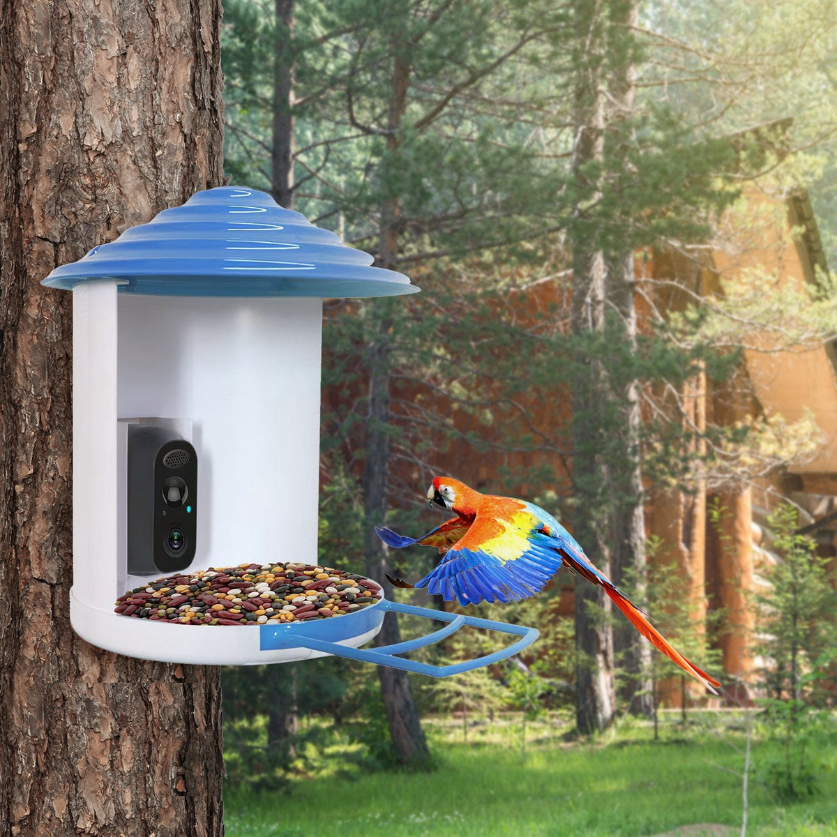 Smart Bird Feeder With Solar Powered Camera 1080p Hd Ai Identify