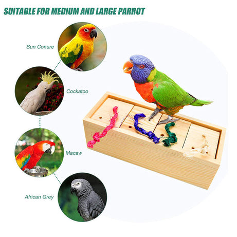 Parrot Toy Bird Supplies Puzzle Training
