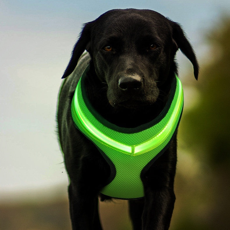 LED Luminous Dog Harness USB Charging Chest Strap Vest Pet Safety