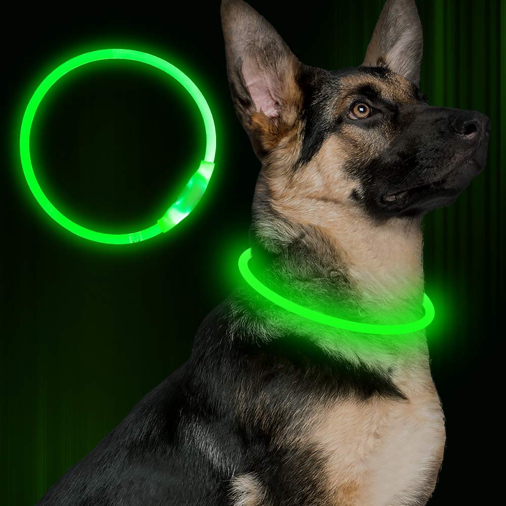 Pet Flashing Collar USB Rechargeable Glowing Necklace Safety Light