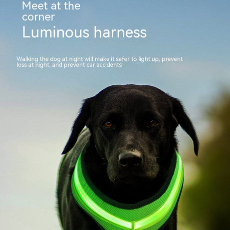 LED Luminous Dog Harness USB Charging Chest Strap Vest Pet Safety