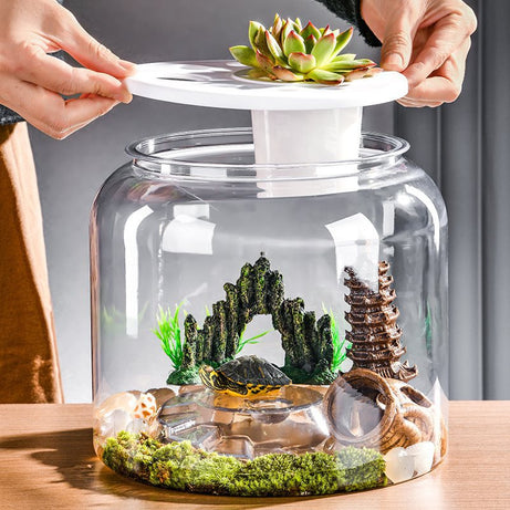 Transparent Plastic Ecological Desktop Landscaping Feeding Fish Tank
