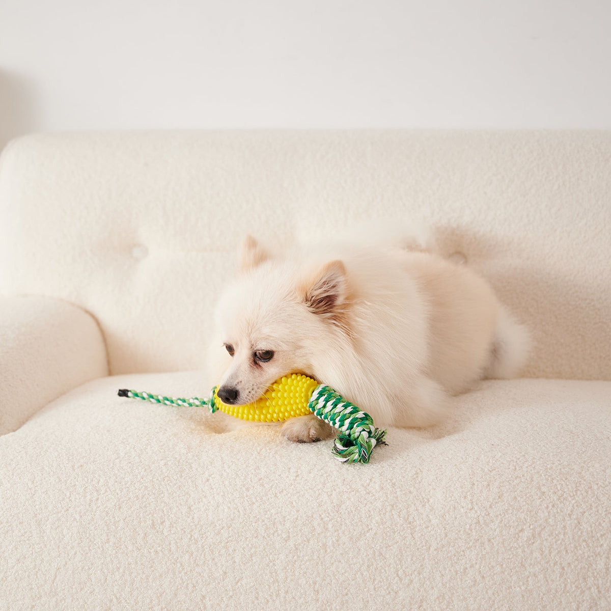 Puppy Toothbrush Clean Teeth Interactive Corn Toys Dog Aggressive