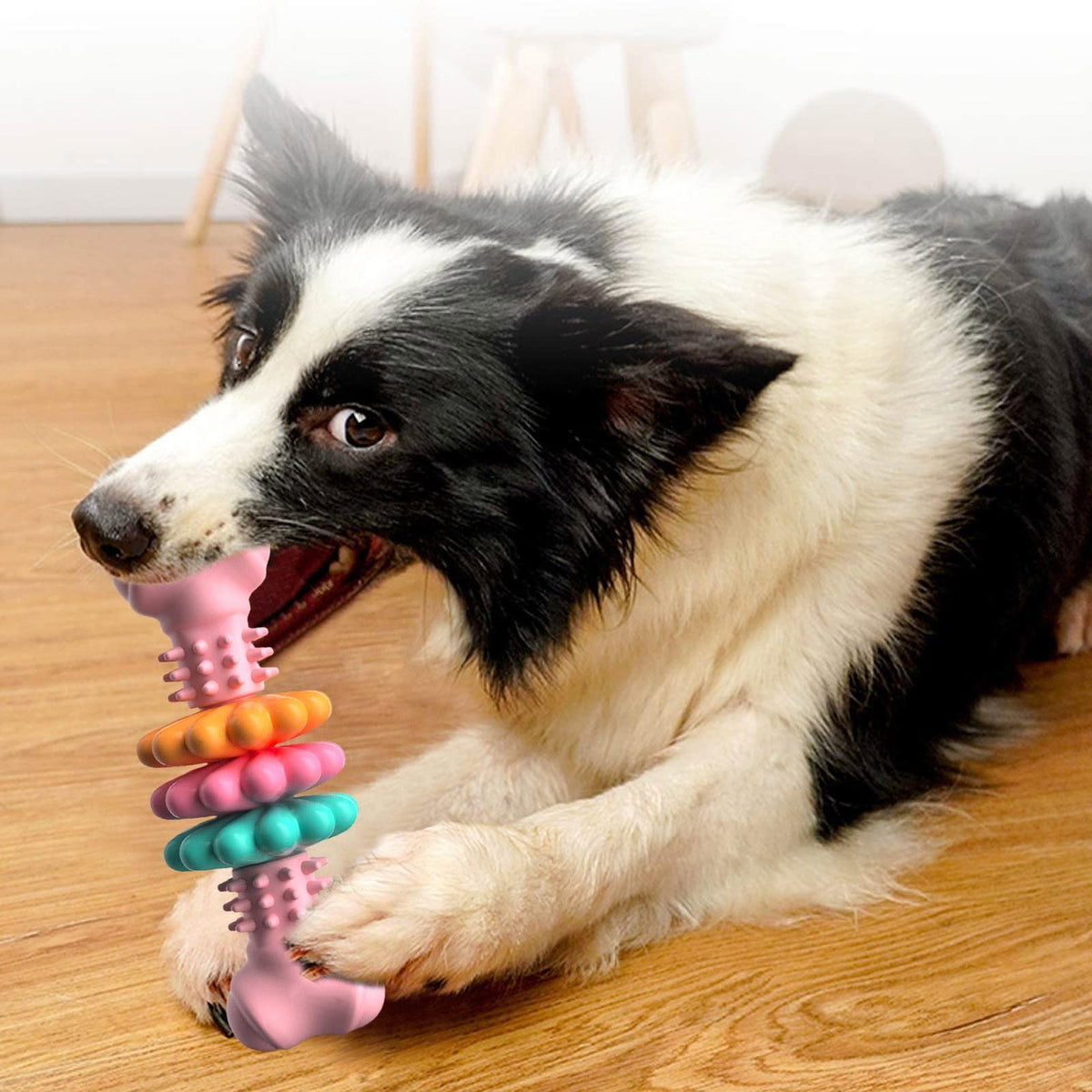 Dog Chew Toy Bone Type Dogs Teeth Cleaning Toys Indestructible Tpr