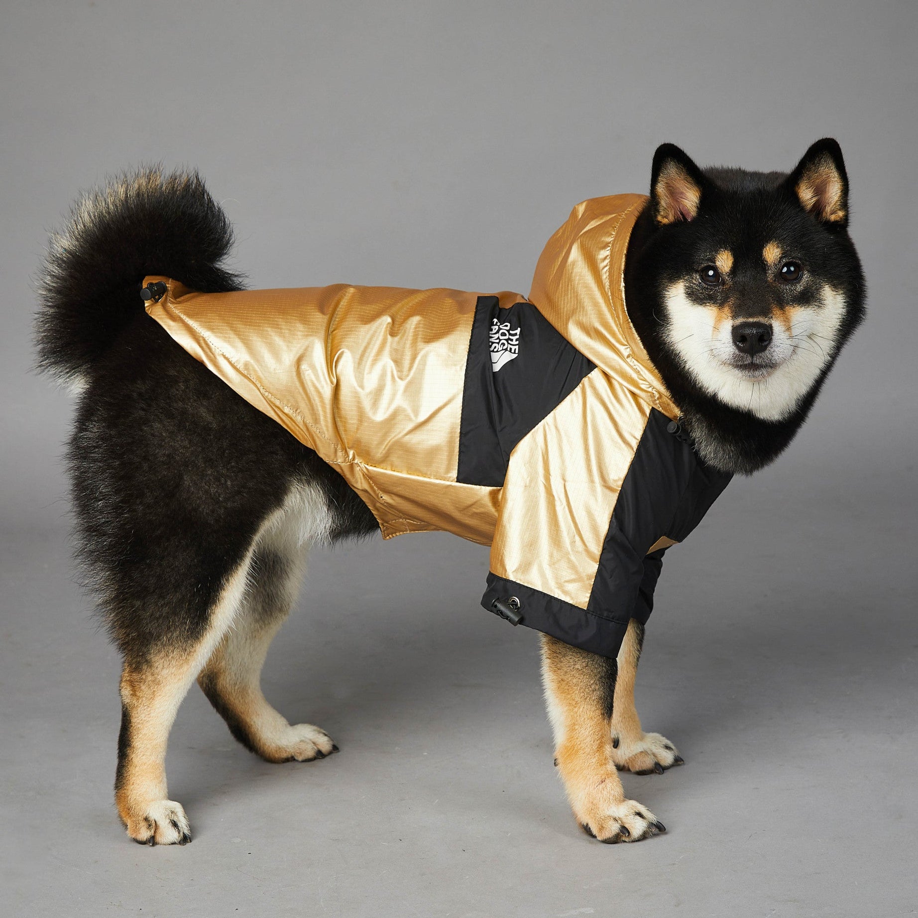 Windproof And Rainproof Dog Large Raincoat Shell Jacket
