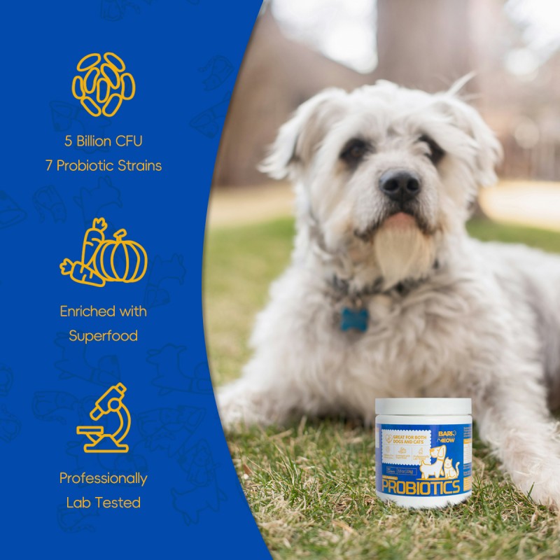 Bark And Meow Probiotics For Dogs Cats 7 Tailored Strains