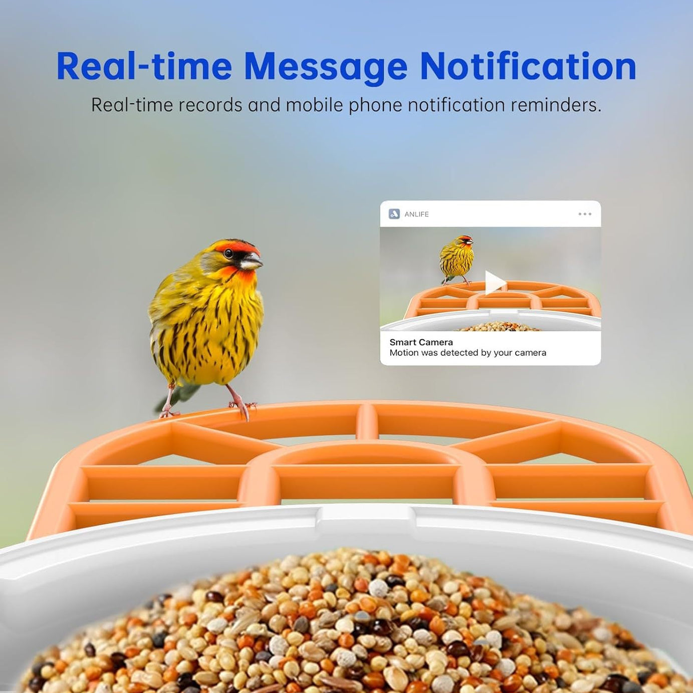 Smart Feeder Surveillance Wireless Camera