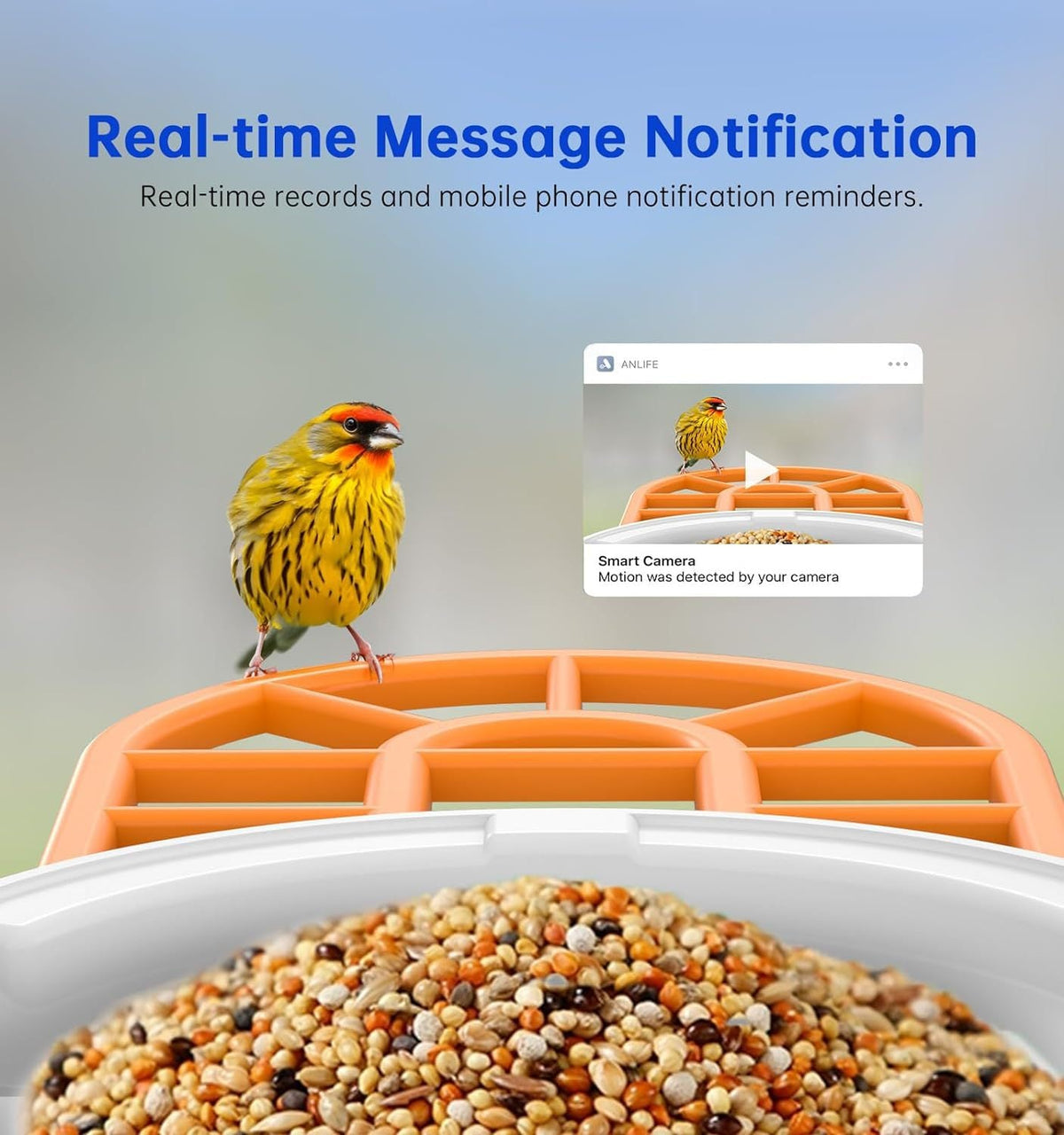 Smart Feeder Surveillance Wireless Camera