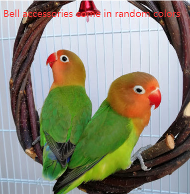Bird Standing Frame Rattan Ring Chewing Toy Cage