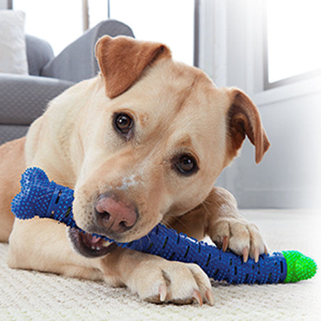 Blue Green Pet Molar Tooth Cleaner Brushing Stick Cleaning Supplies