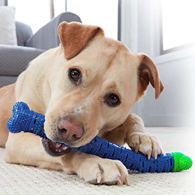 Blue Green Pet Molar Tooth Cleaner Brushing Stick Cleaning Supplies