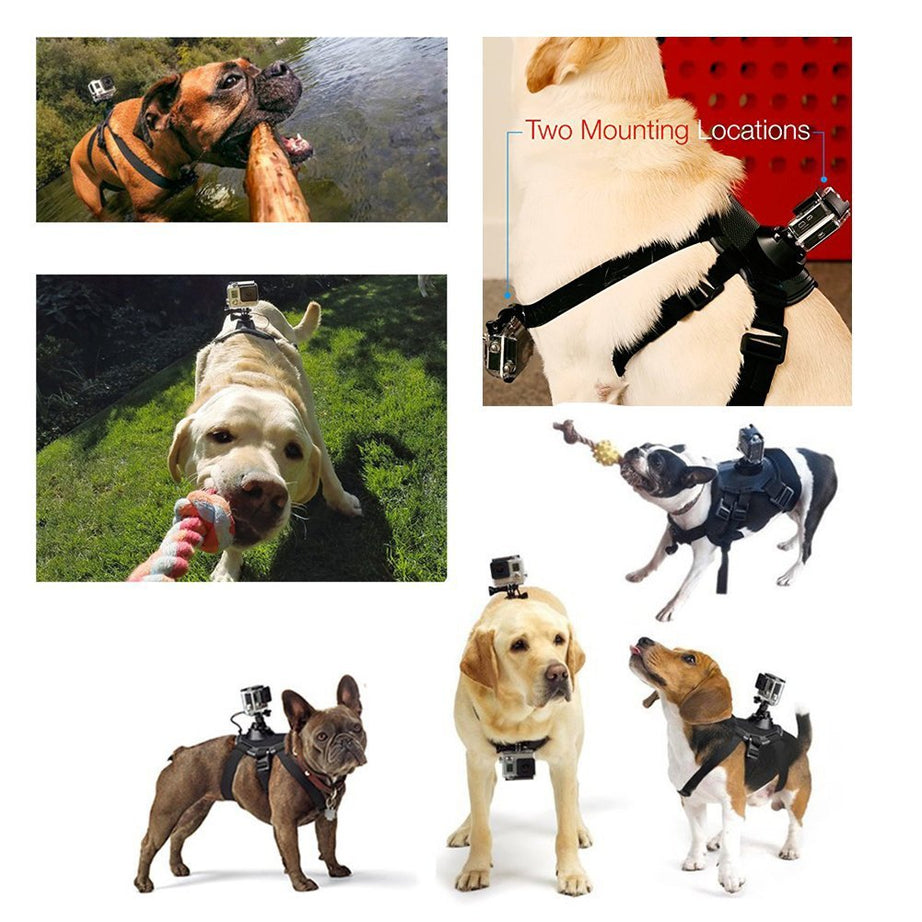 Dog Harness Chest Strap Camera Accessory For Dualuse Back On