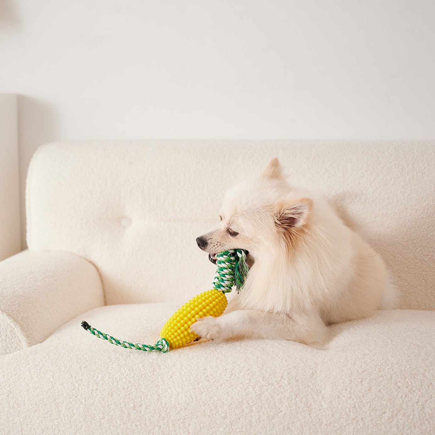 Puppy Toothbrush Clean Teeth Interactive Corn Toys Dog Aggressive