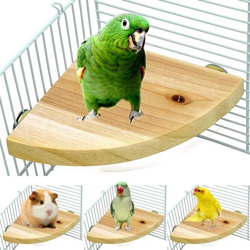 Climbing And Playing Bird Cage Accessories Toy Solid Wood Jumping