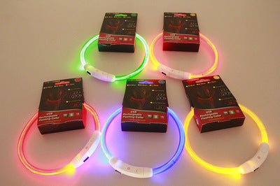 Pet Flashing Collar USB Rechargeable Glowing Necklace Safety Light